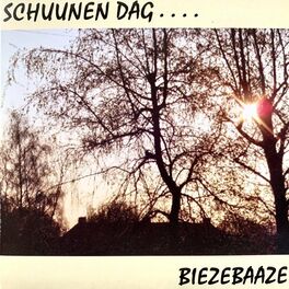 Album cover of Schuunen dag