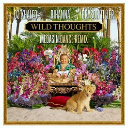 Album cover of Wild Thoughts (feat. Rihanna & Bryson Tiller) (Medasin Dance Remix)