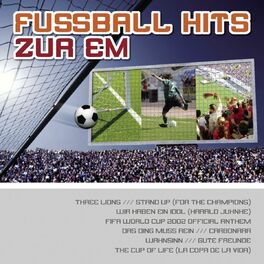 Album cover of Fussball Hits zur EM