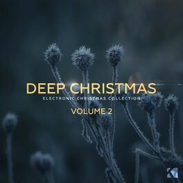 Album cover of Deep Christmas, Vol. 2 (Electronic Christmas Collection)