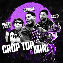 Album cover of Croptop y Mini