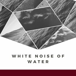 Album cover of White Noise of Water