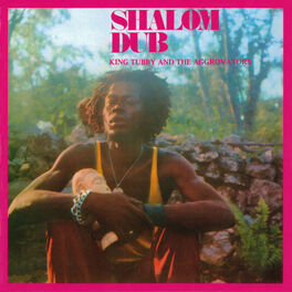 Album cover of Shalom Dub