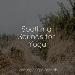 Album cover of Soothing Sounds for Yoga