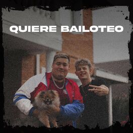Album cover of Quiere Bailoteo