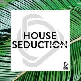 Album cover of House Seduction, Vol. 17