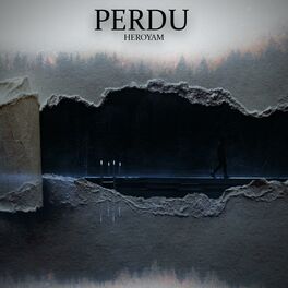 Album cover of Perdu