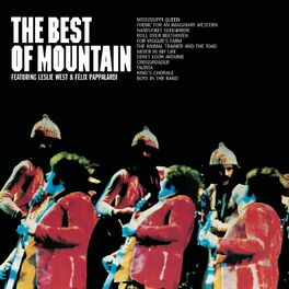 Album cover of The Best Of Mountain
