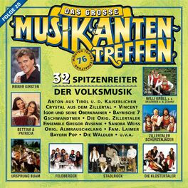 Album cover of Das große Musikantentreffen - Folge 20