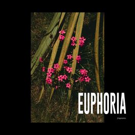 Album cover of EUPHORIA / fragments.