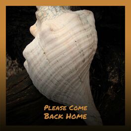 Album cover of Please Come Back Home