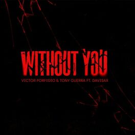 Album cover of Without You (Victor Porfidio VIP Edit)