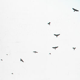 Album cover of Fly