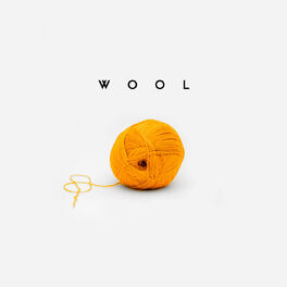 Album cover of Wool