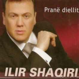 Album cover of Pranë diellit