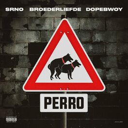 Album cover of Perro (feat. Broederliefde & Dopebwoy)