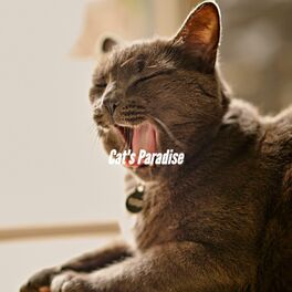 Album cover of Cat's Paradise