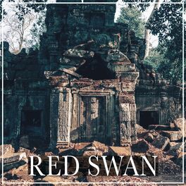 Album cover of Red Swan