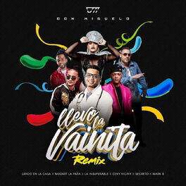 Album cover of Llevo la Vainita (Remix)