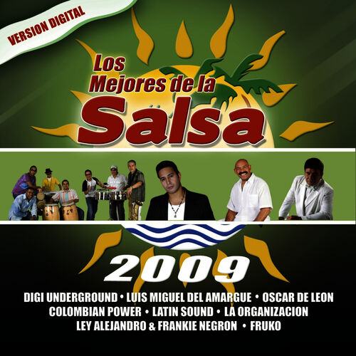 Various Artists - Los Mejores de la Salsa 2009: lyrics and songs | Deezer