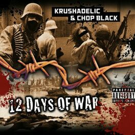 Album cover of 12 Days of war
