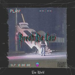Album cover of Break Da Law