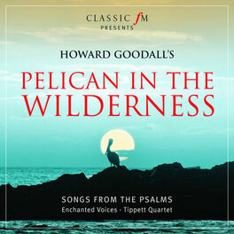 Album cover of Pelican In The Wilderness (Songs from the Psalms)