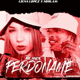 Album cover of Perdoname Remix (Remix)