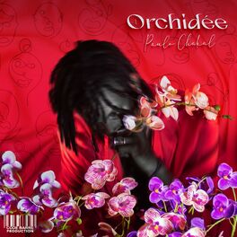 Album cover of Orchidée
