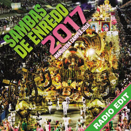 Album cover of Sambas De Enredo Das Escolas De Samba 2017