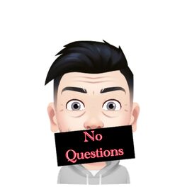 Album cover of No Questions