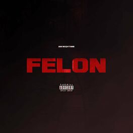 Album cover of Felon