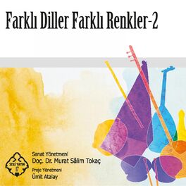 Album cover of Farklı Diller Farklı Renkler, Vol. 2