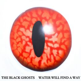 Album cover of Water Will Find a Way