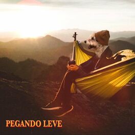 Album cover of Pegando Leve
