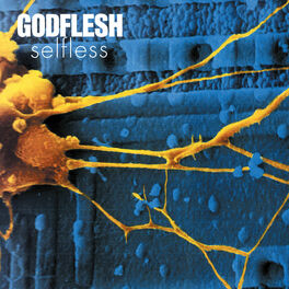 Album cover of Selfless