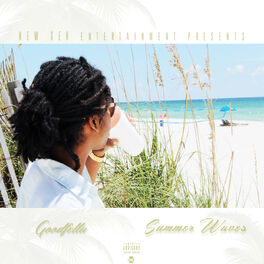 Album cover of Summer Waves
