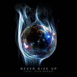 Album cover of Never Give Up (feat. Ayah Marar)