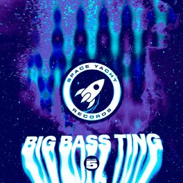 Album cover of Big Bass Ting Vol. 5