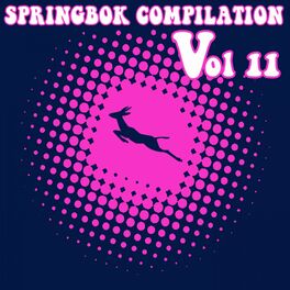 Album cover of Springbok Compilation, Vol. 11