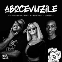 Album cover of Abocevuzile