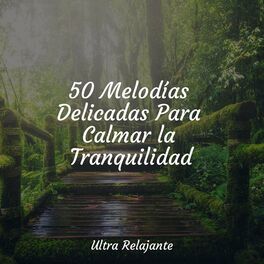 Album cover of 50 Melodías Delicadas Para Calmar la Tranquilidad