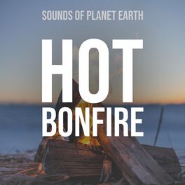 Album cover of Hot Bonfire