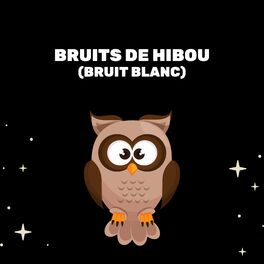 Album cover of Bruits De Hibou (Bruit Blanc)