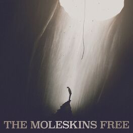 Album cover of Free