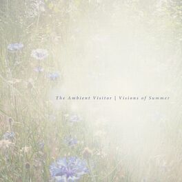 Album picture of Visions of Summer