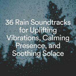 Album cover of 36 Rain Soundtracks for Uplifting Vibrations, Calming Presence, and Soothing Solace
