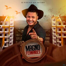 Album cover of O Piseiro do Paizão