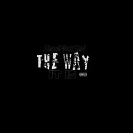 Album cover of The Way It Is (feat. MBK)