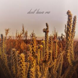 Album cover of Dont Leave Me